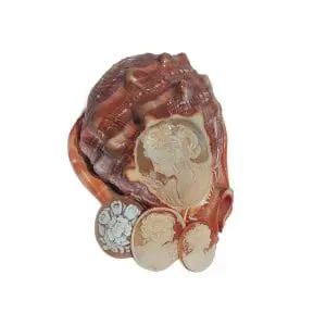 Italian Shell Cameo
