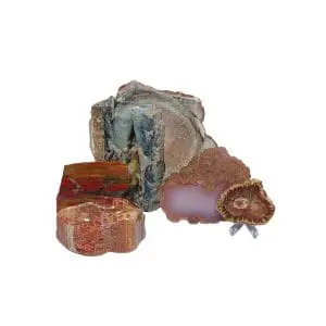 Petrified (4x3)